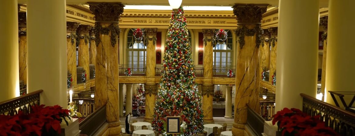 Large Christmas tree in the middle of the hall